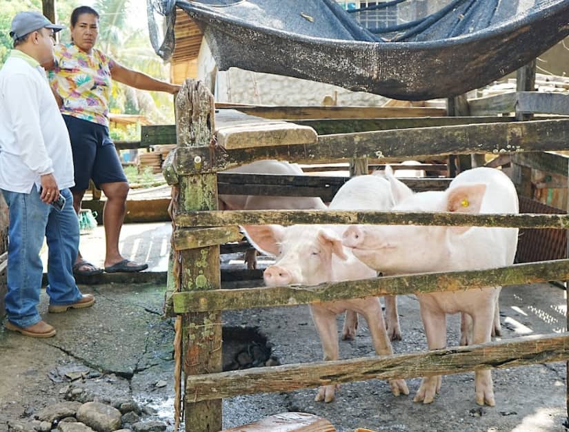 Productora Asopim.png