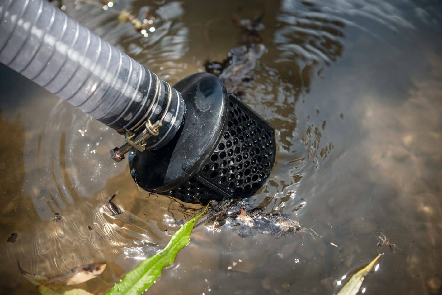 Bomba de agua a gasolina STIHL WP 230