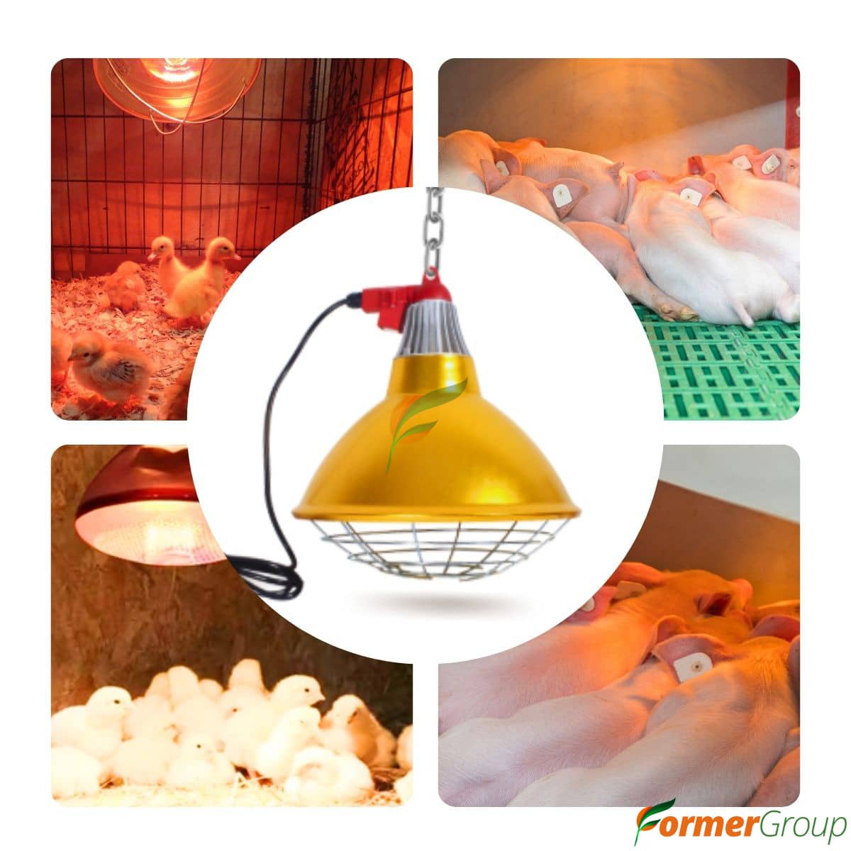 Lámpara infrarroja para lechón 110V