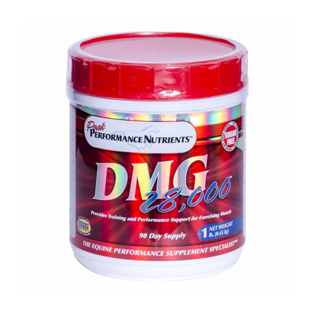 DMG 28,000 suplemento equino de oxígeno y defensa