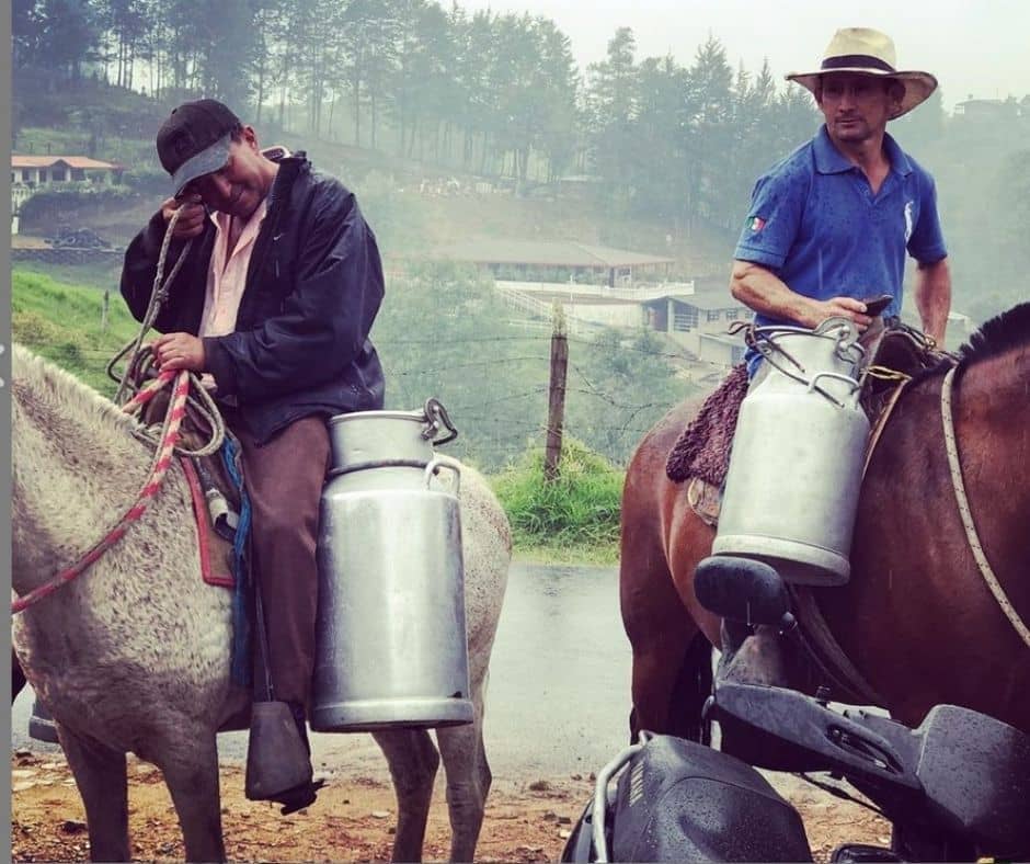 Cooperativa Alagro