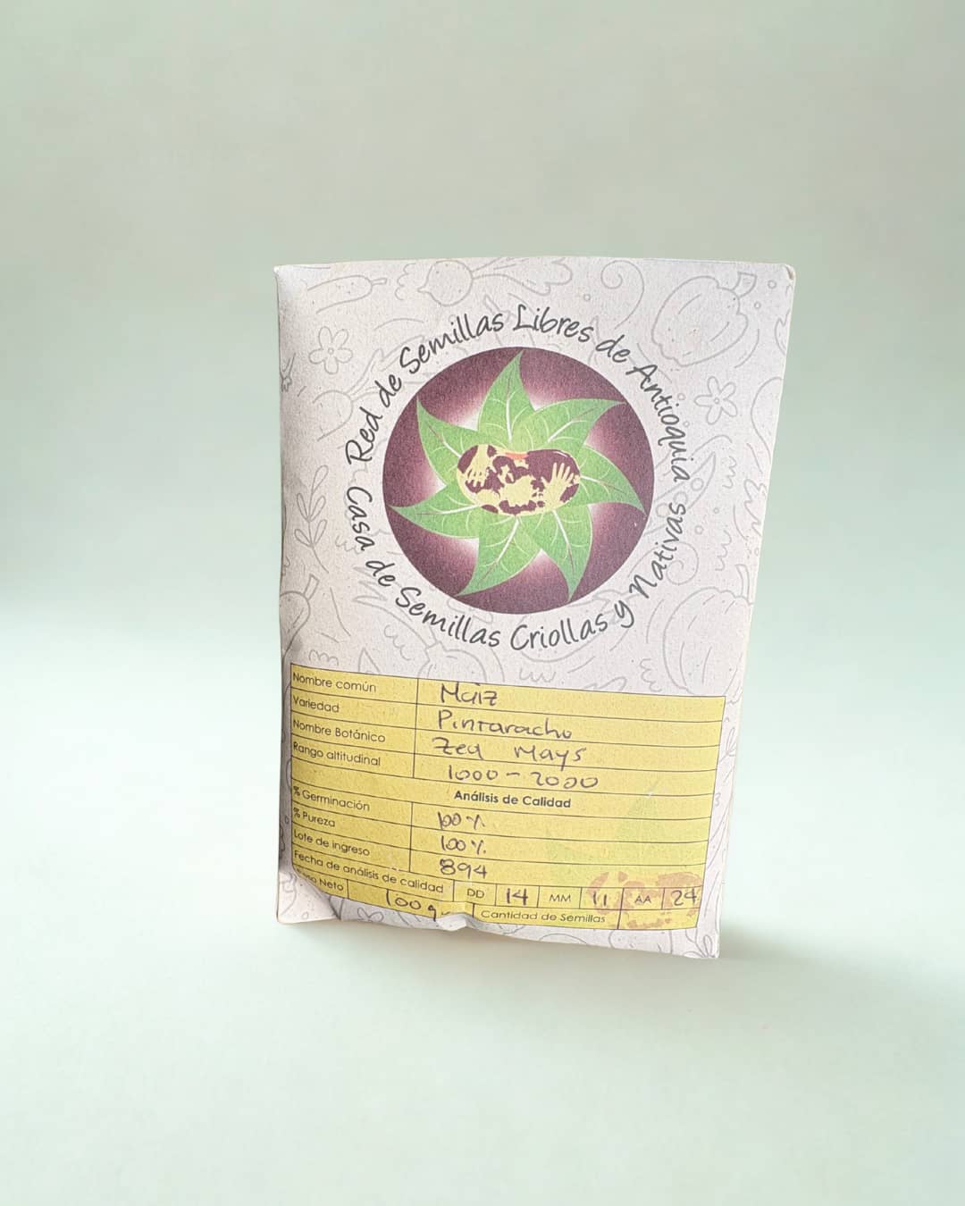 Semillas de Maíz Pintaracho