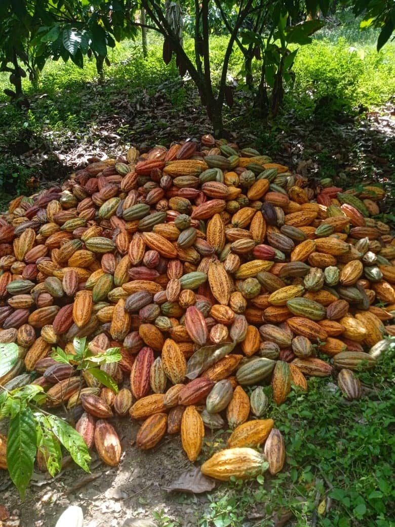 Imagen de WhatsApp 2024-01-11 a las 11.00.29_3742bd17.jpg