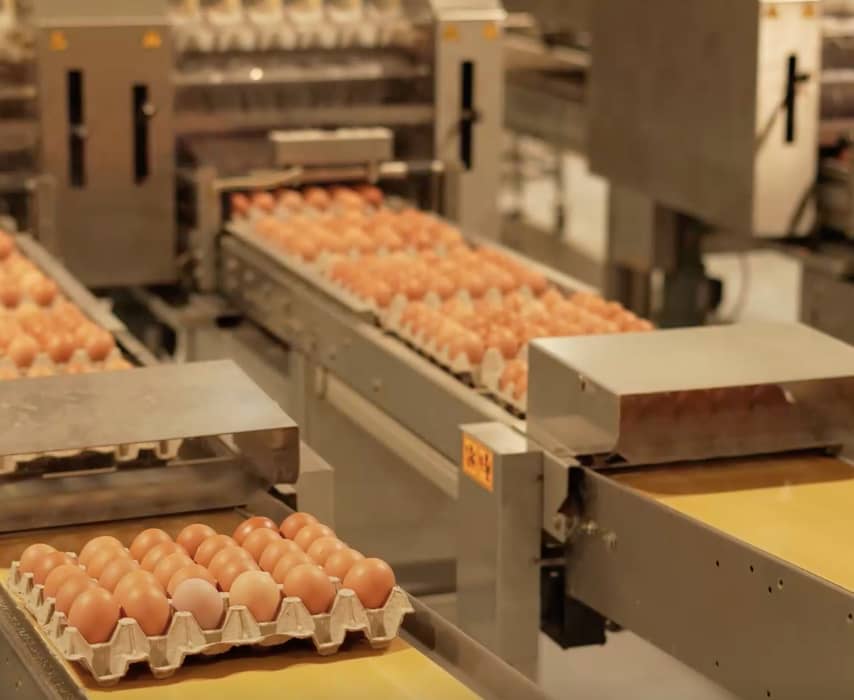 Proceso productivo.png