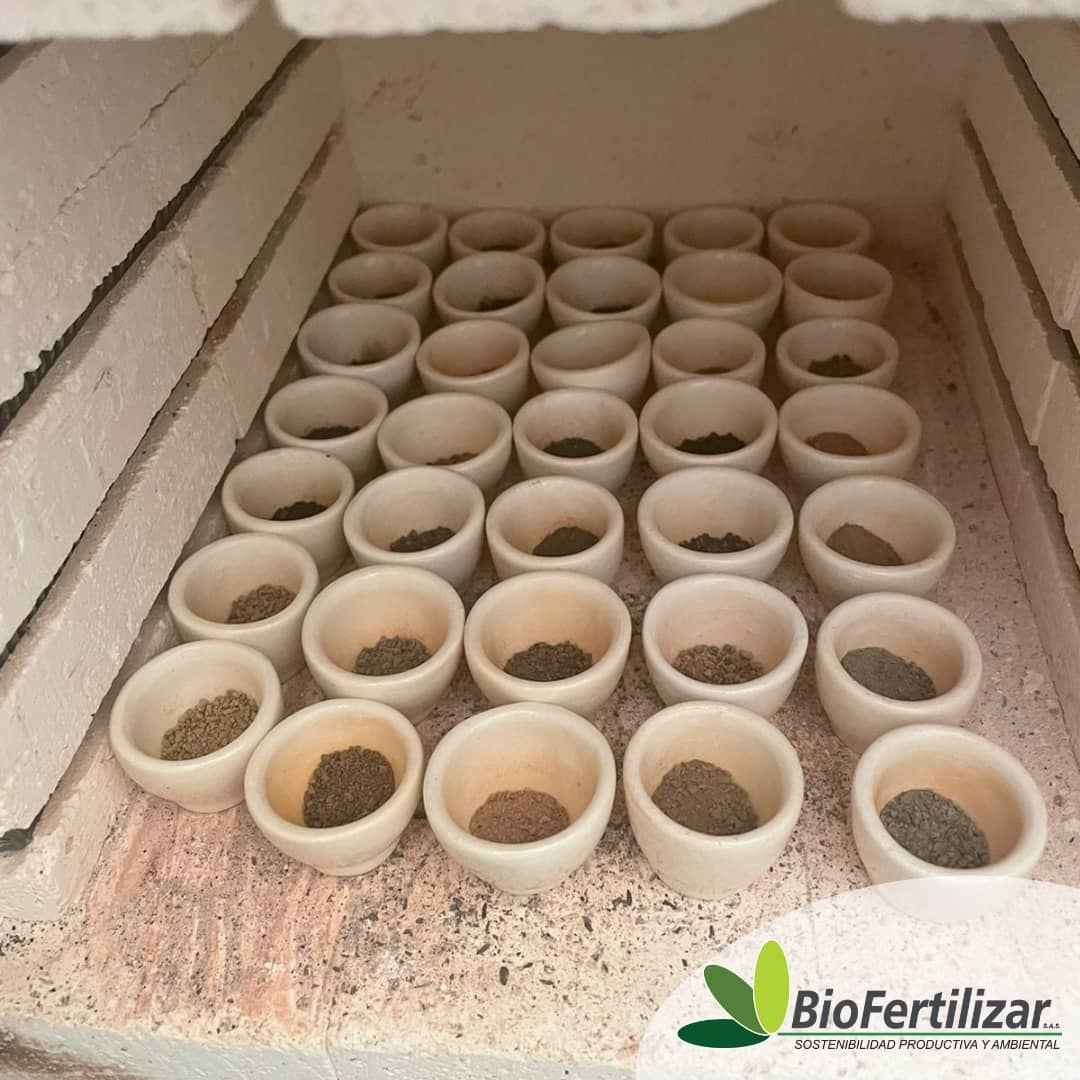 Materia orgánica total