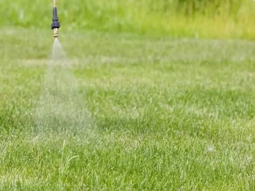 Herbicida Touchdown IQ Syngenta | Control de Malezas con Glifosato | Croper