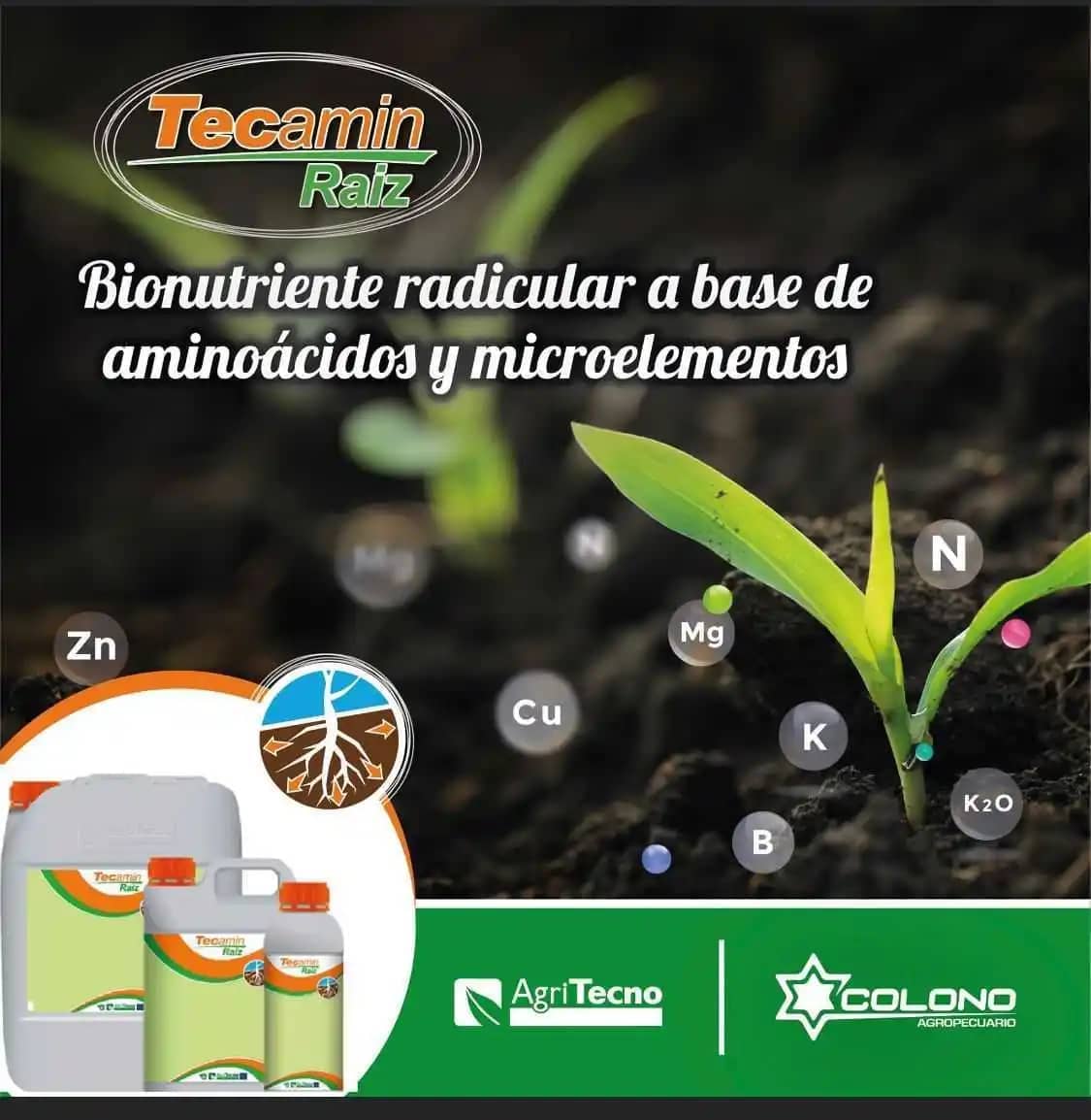 Enraizador Tecamin x 1 Lt