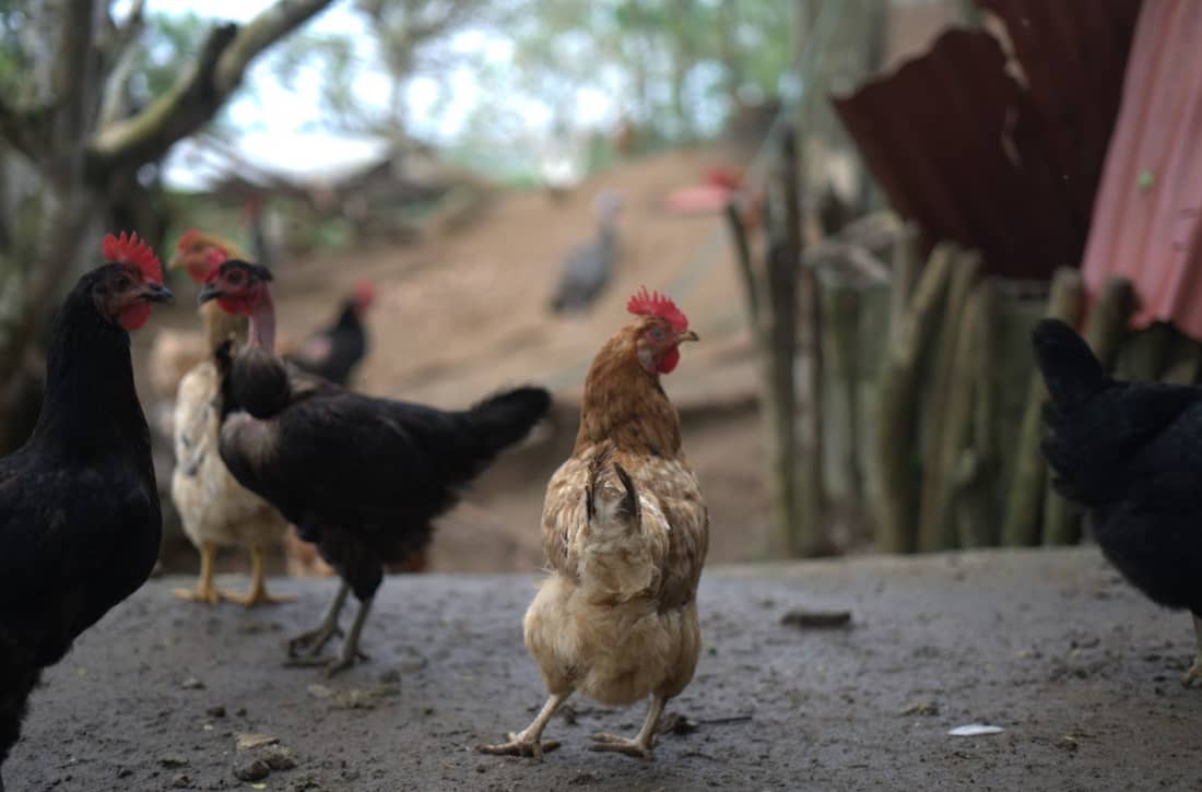 Captura de pantalla 2025-02-19 142035.png