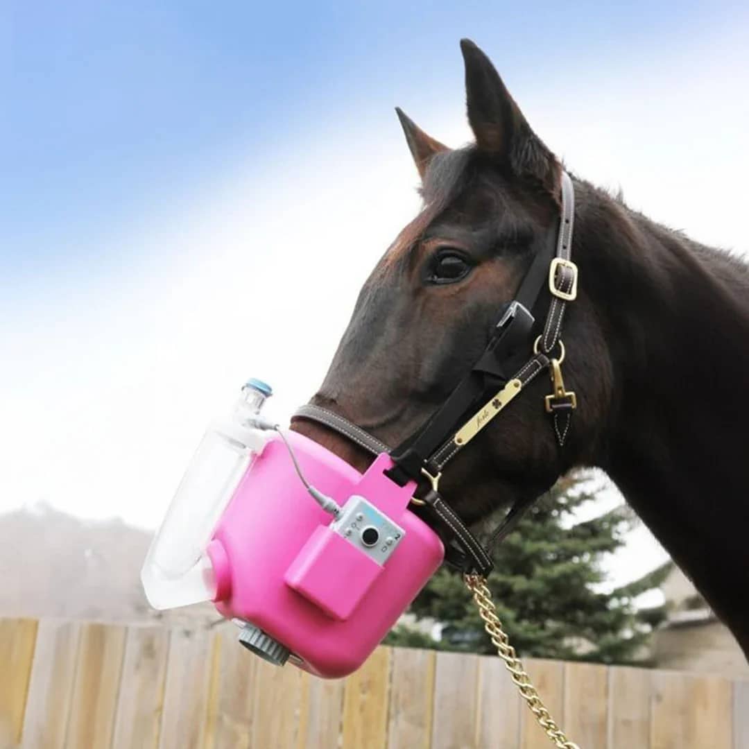 Nebulizador Flexineb E3 sistema completo para caballos