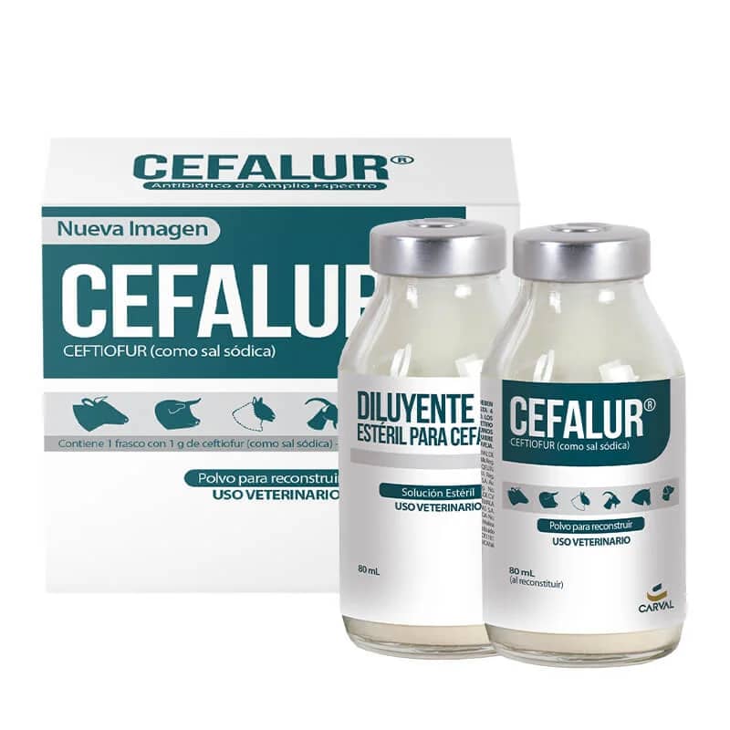 Cefalur 4 g Carval | Antibiótico veterinario para bovinos, porcinos, ovinos