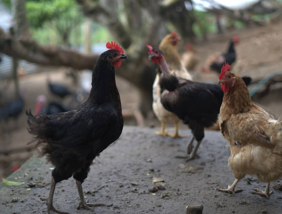 Captura de pantalla 2025-02-19 142027.png