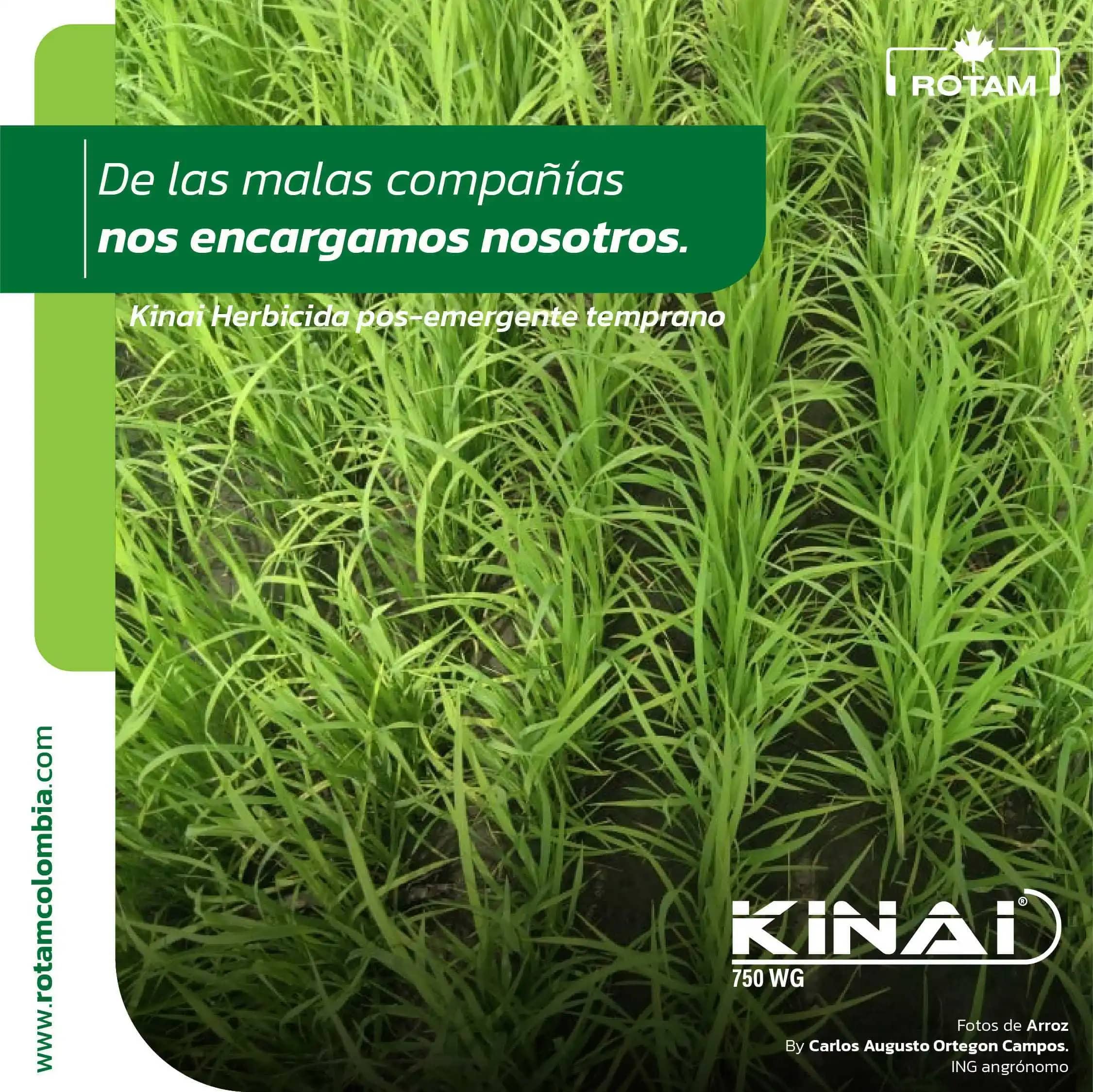 Herbicida Kinai 750 Wg x 500 Gr