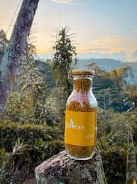 POLEN DE MIEL DE ABEJAS