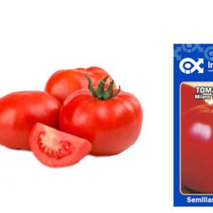 Semilla de Tomate milano tropic x 2 gr