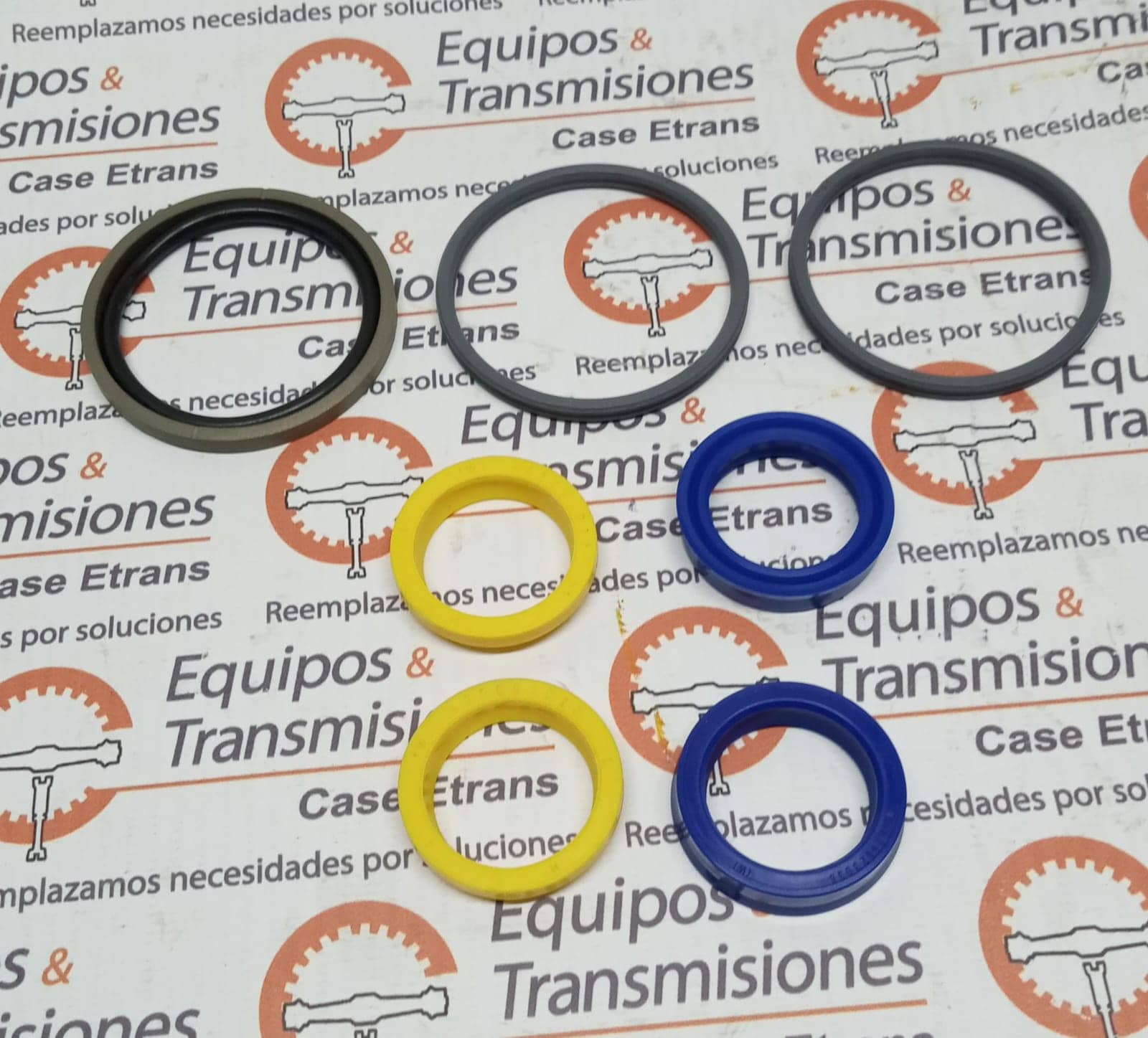 Empaquetadura cilindro de dirección - 00113441U1