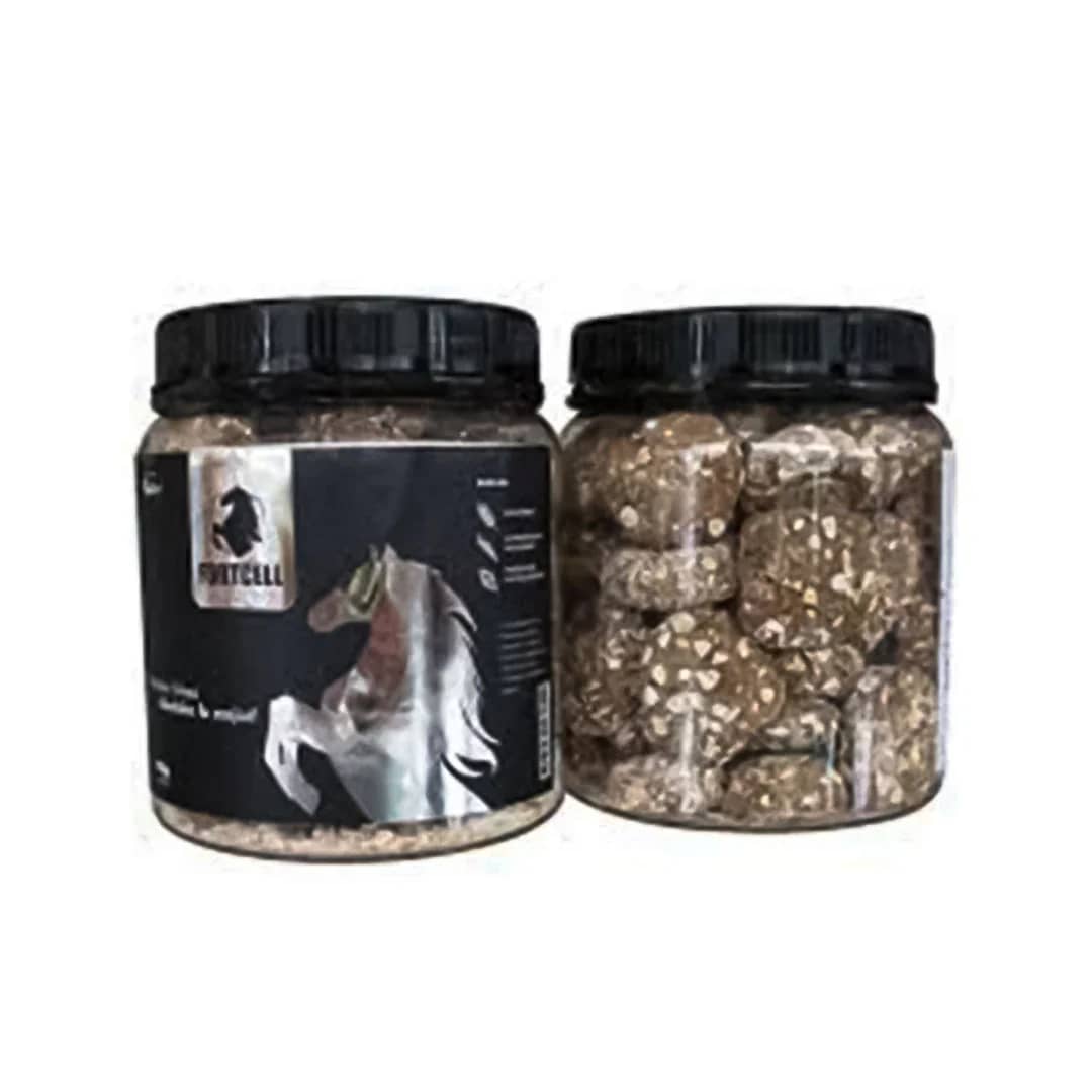 Snacks galletas Fortcell nutritivas y probióticas caballos