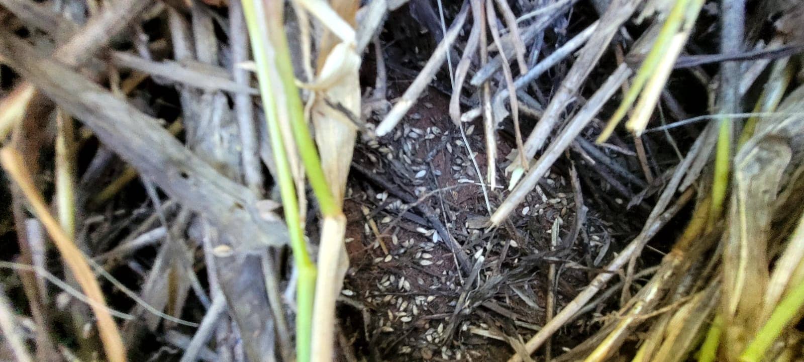 WhatsApp Image 2025-10-31 at 2.52.37 PM.jpeg