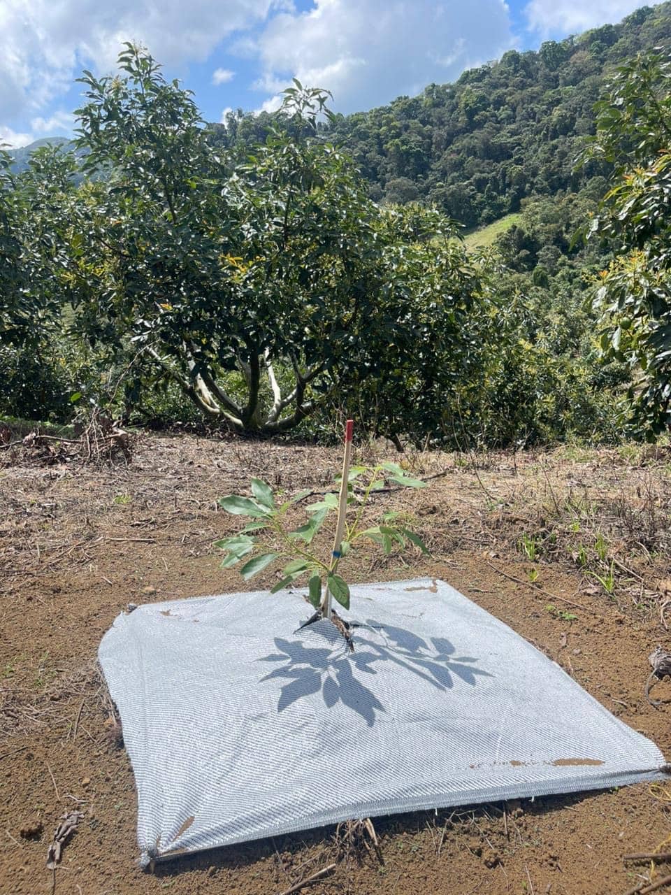 d2ec7b17-7905-46a1-9b9b-20556cf439c0 (1).jpeg