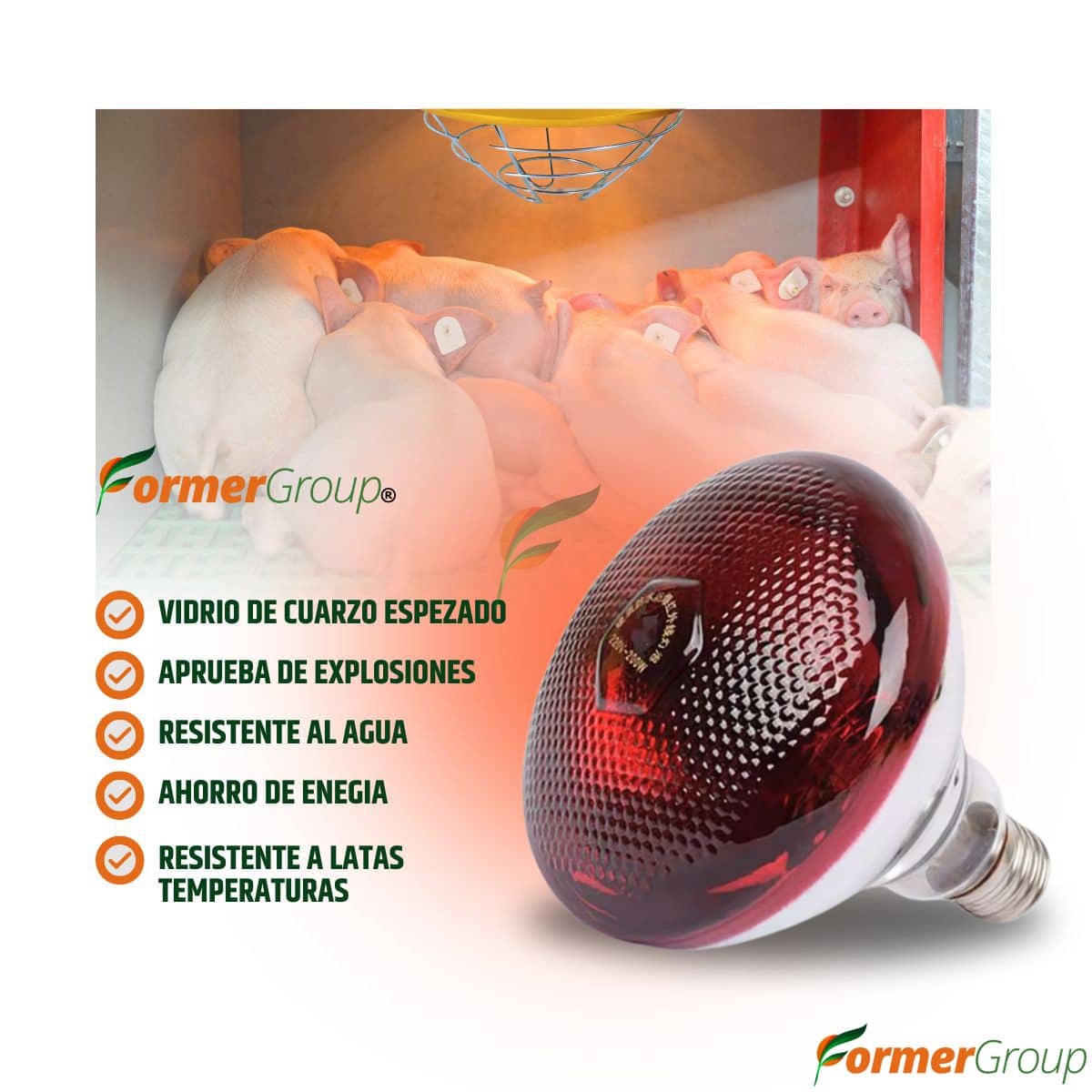 Bombilla infrarroja 110V para lechones