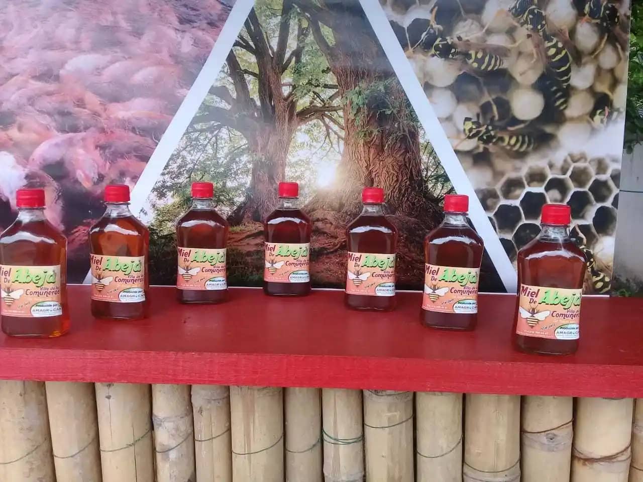 Venta de miel de abeja Amagrocan X 500 Gr