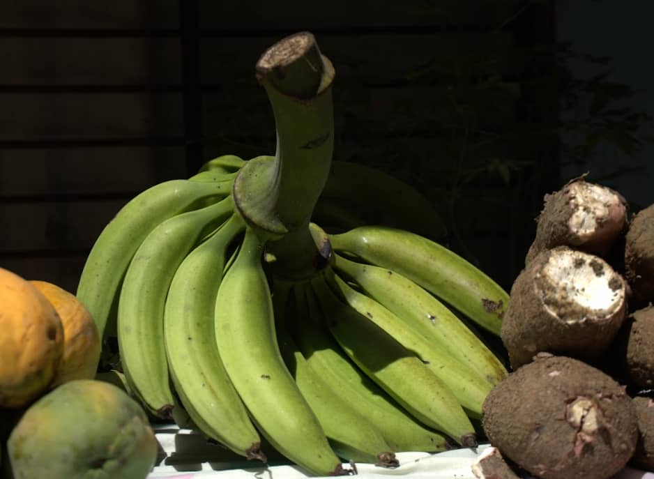 Captura de pantalla 2024-12-11 094916.png