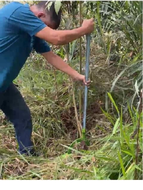 Cosechador de Yuca AGROIDEAS - Extracción sin esfuerzo