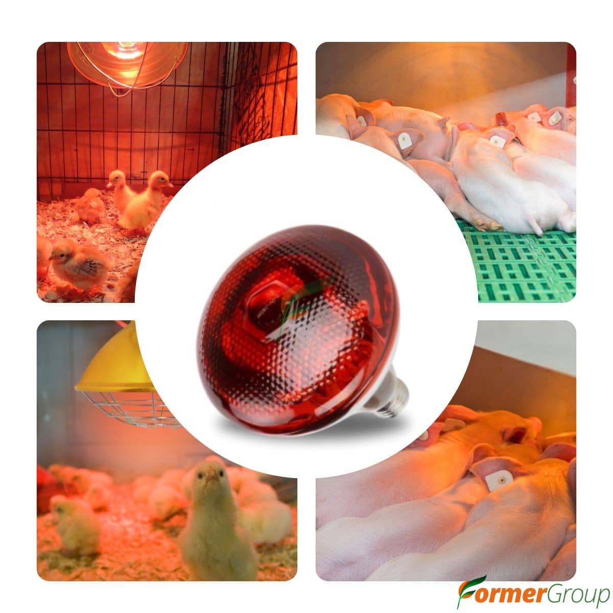 Bombilla infrarroja 110V para lechones