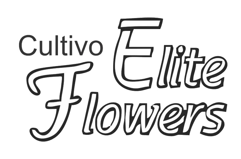 Elite Flowers