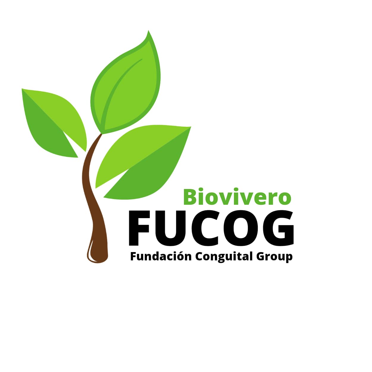 Fundación Conguital Group FUCOG