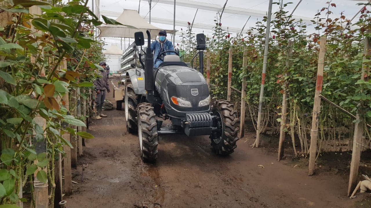 FL454 CAIMAN TRACTOR 45HP (1).jpg