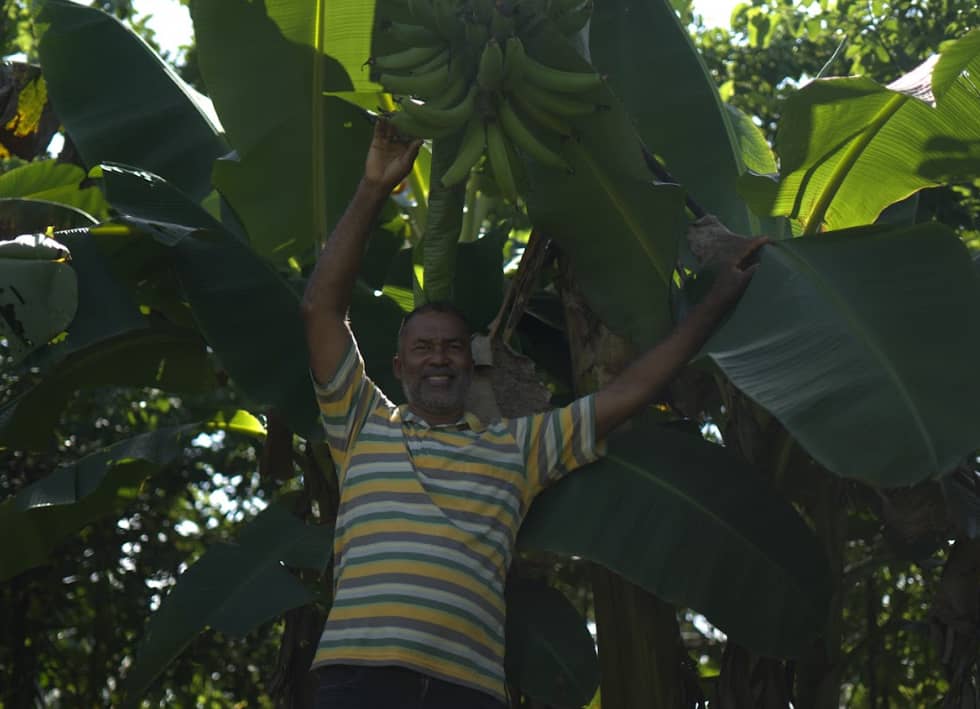 Captura de pantalla 2024-12-11 074942.png