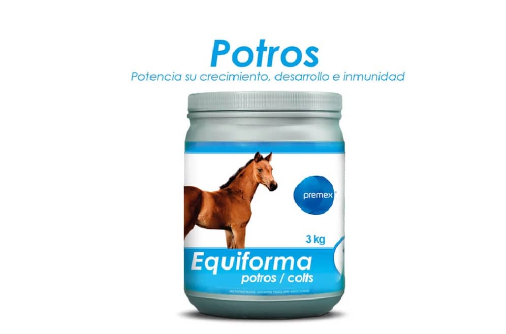 Equiforma Potros 3 kg | Suplemento potros crecimiento sano Premex