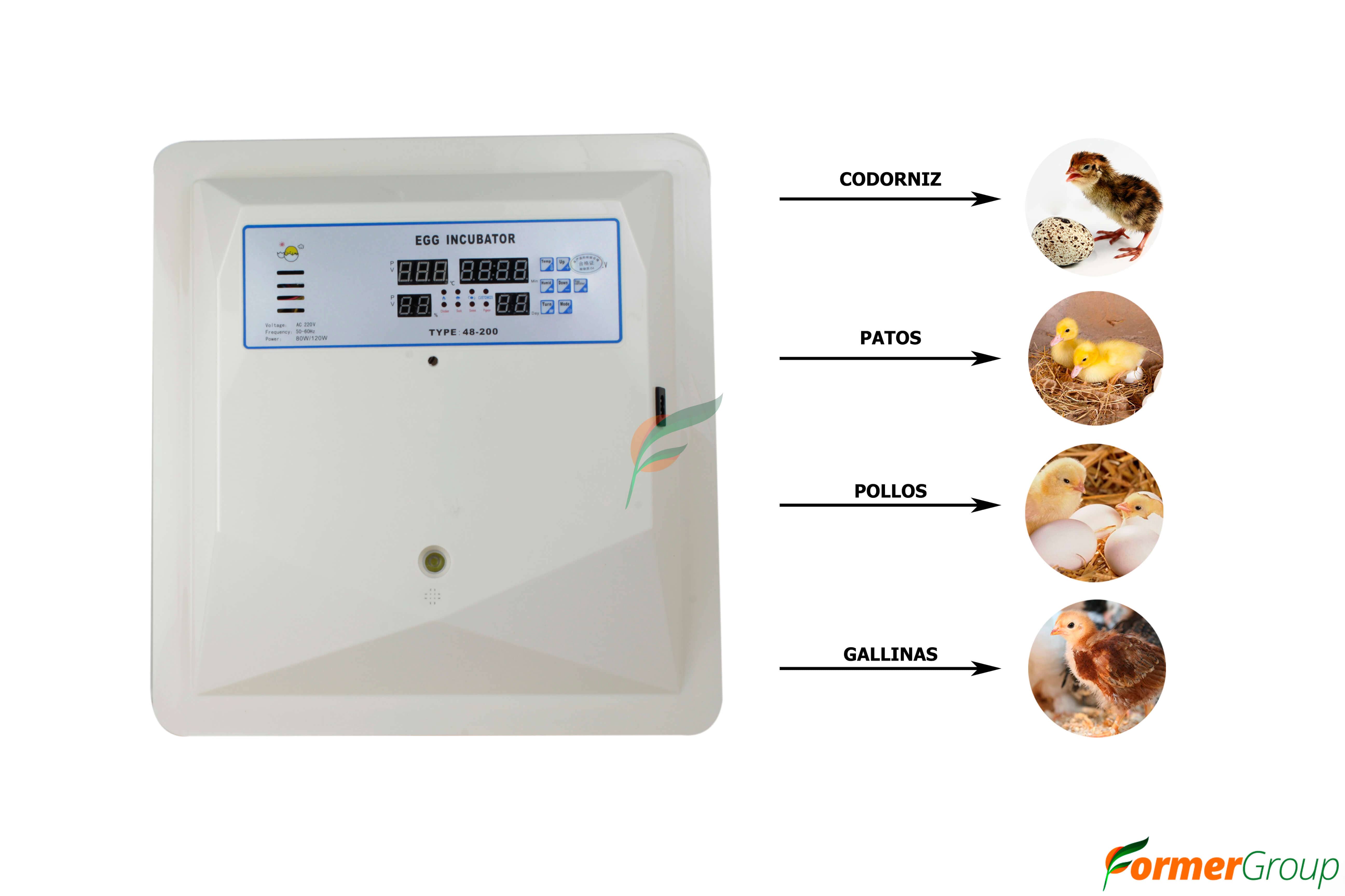 Incubadora 56 huevos: automática y precisa