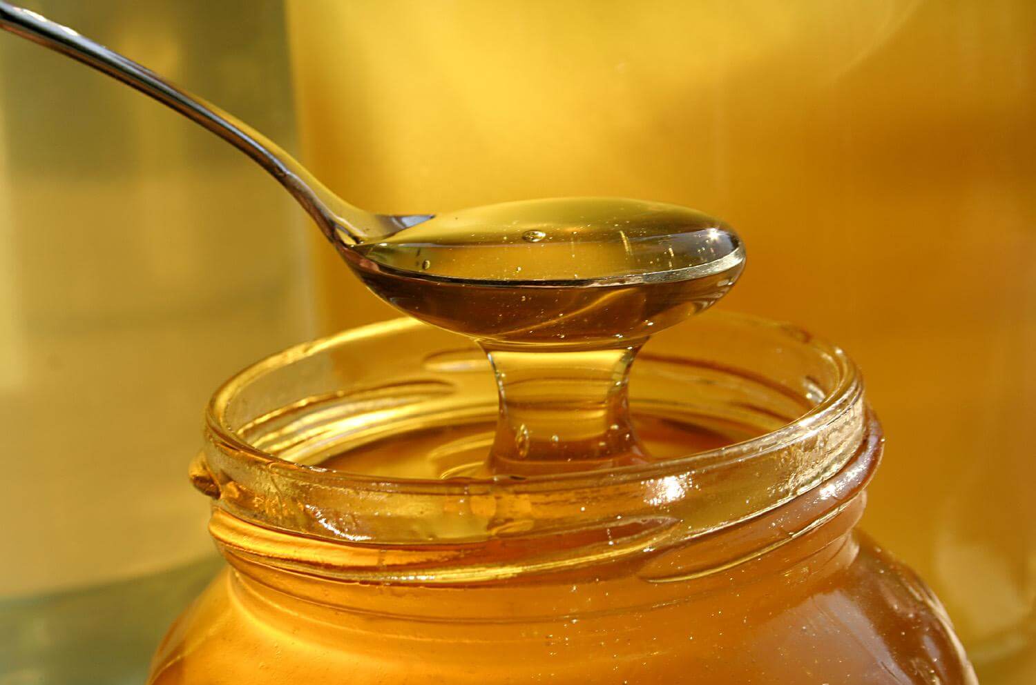Miel de abejas en galón