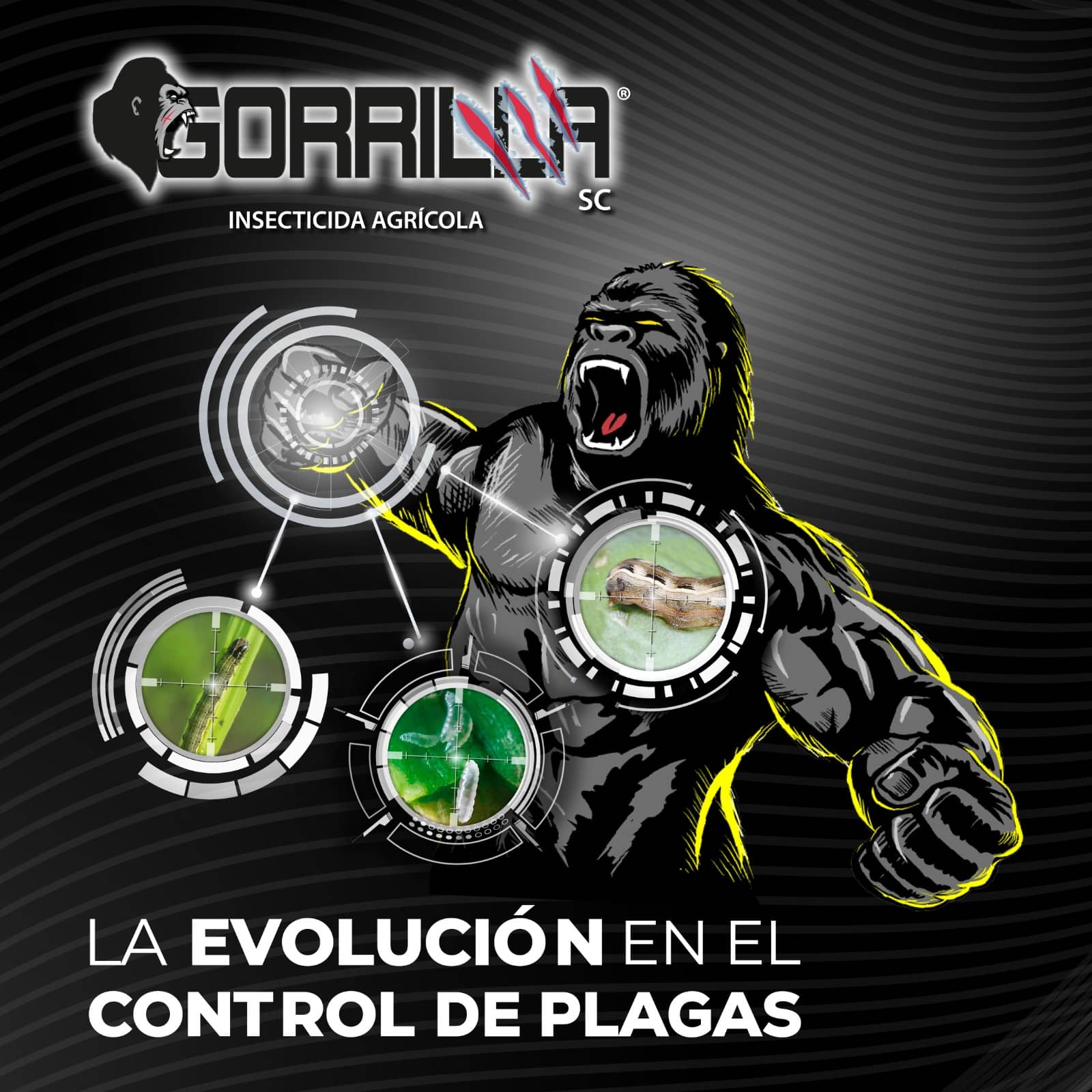 GORRILLA SC Insecticida Emamectina Clorfenapir