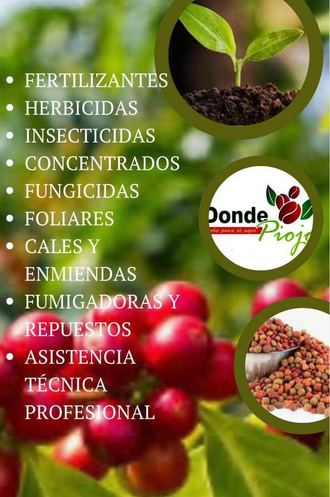 Donde Piojo la plazuela