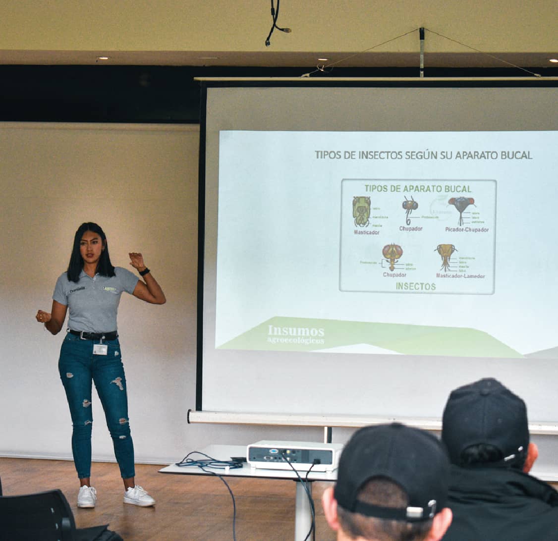 capacitacion_Mesa de trabajo 1.jpg