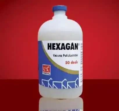 Vacuna Hexagán