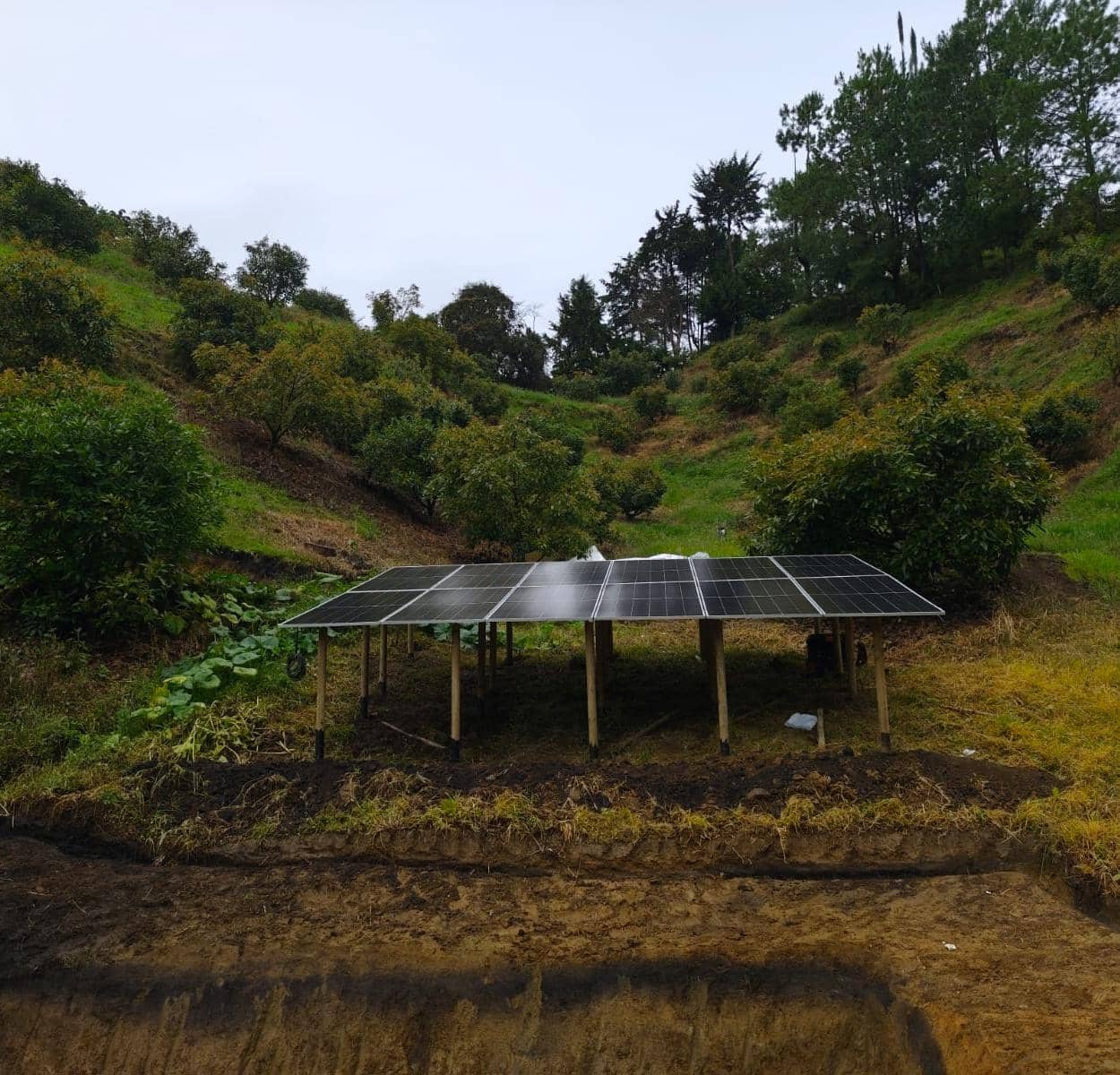 Sistemas de Bombeo Solar para Riego | Alta Eficiencia