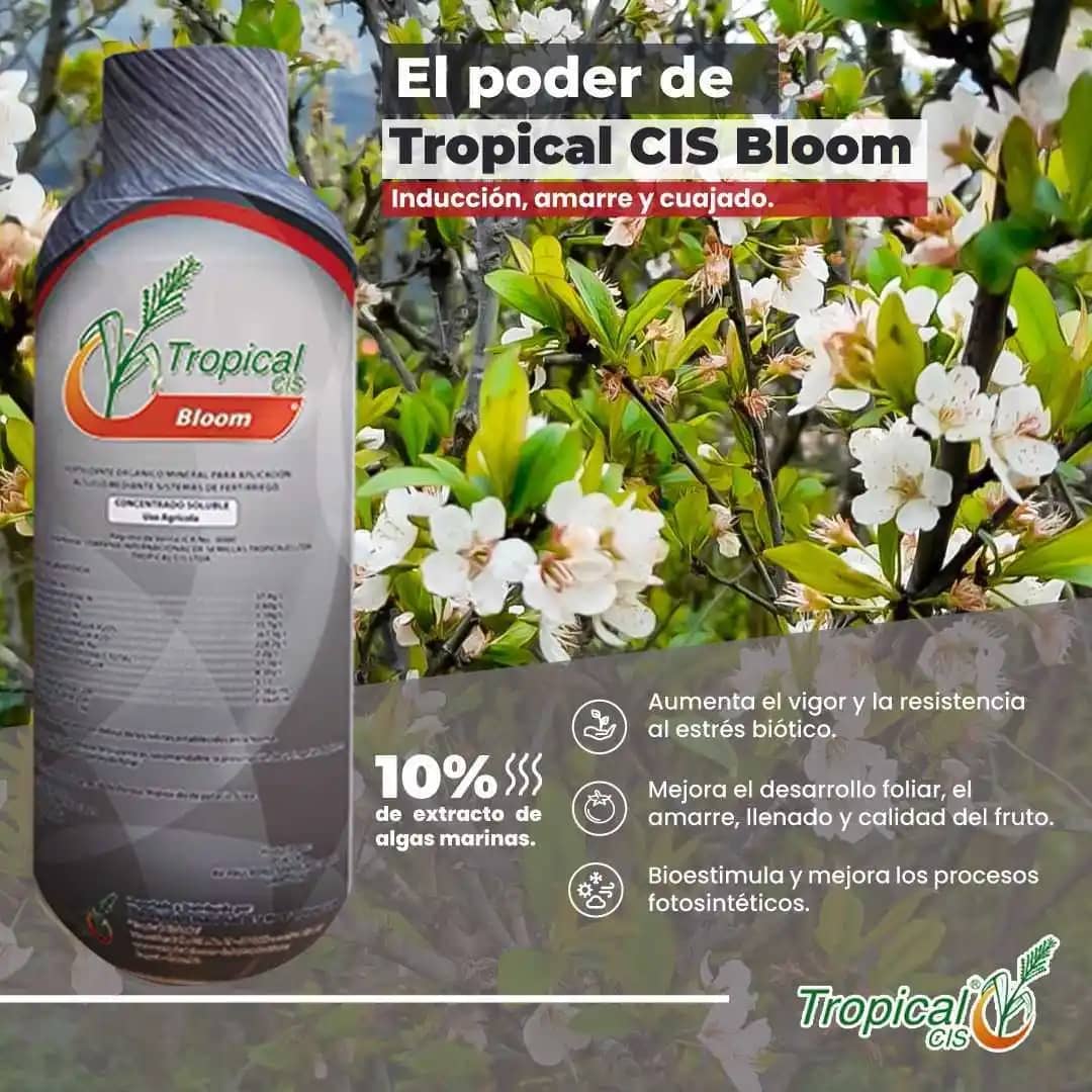 Biofertilizante Tropibloom x 12 Lt