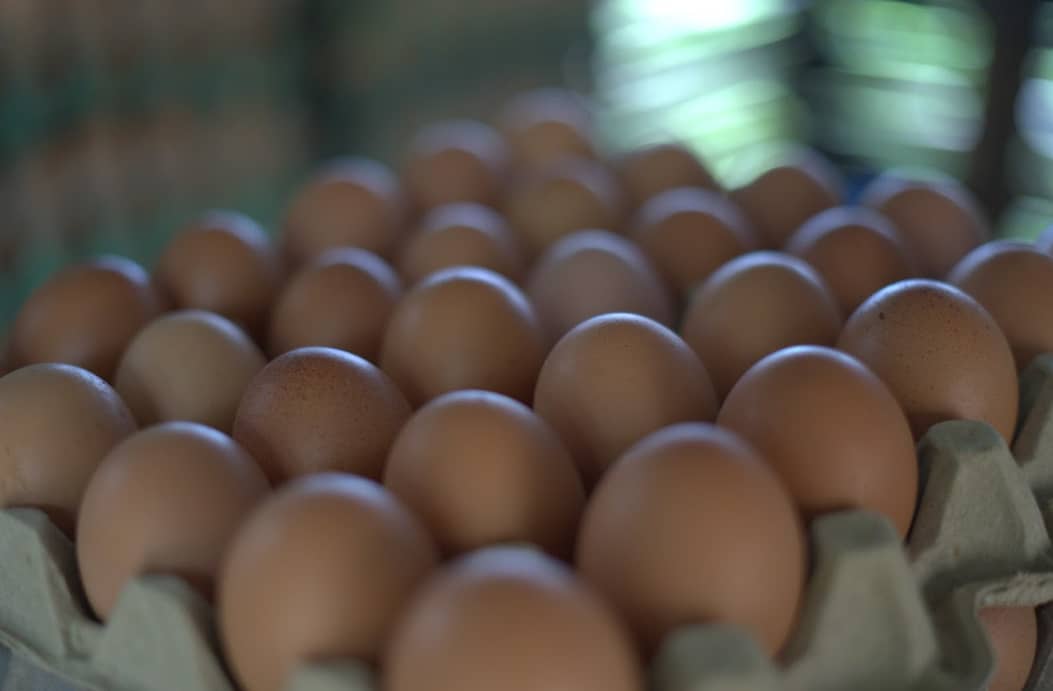 Captura de pantalla 2024-12-18 210158.png