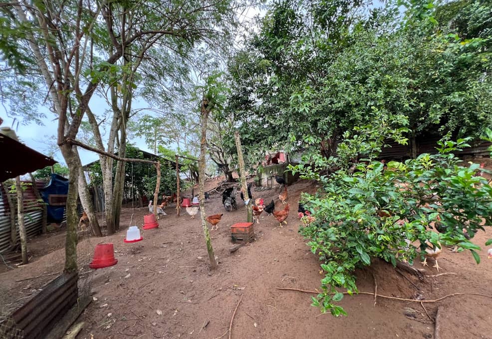 Captura de pantalla 2025-02-19 141937.png