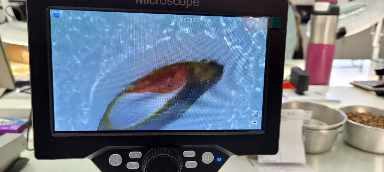 WhatsApp Image 2025-10-31 at 2.49.16 PM (2).jpeg