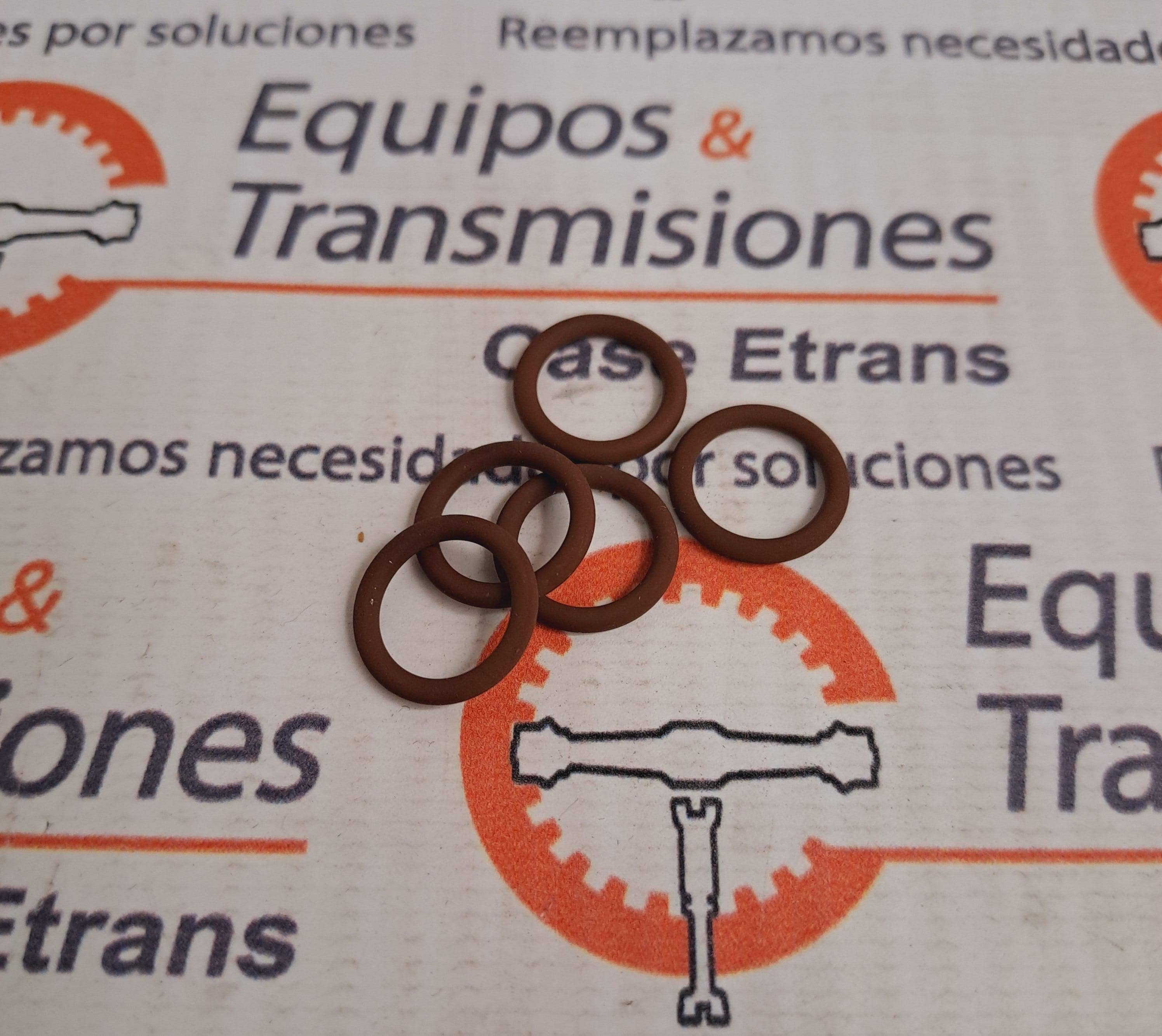O-ring CNH