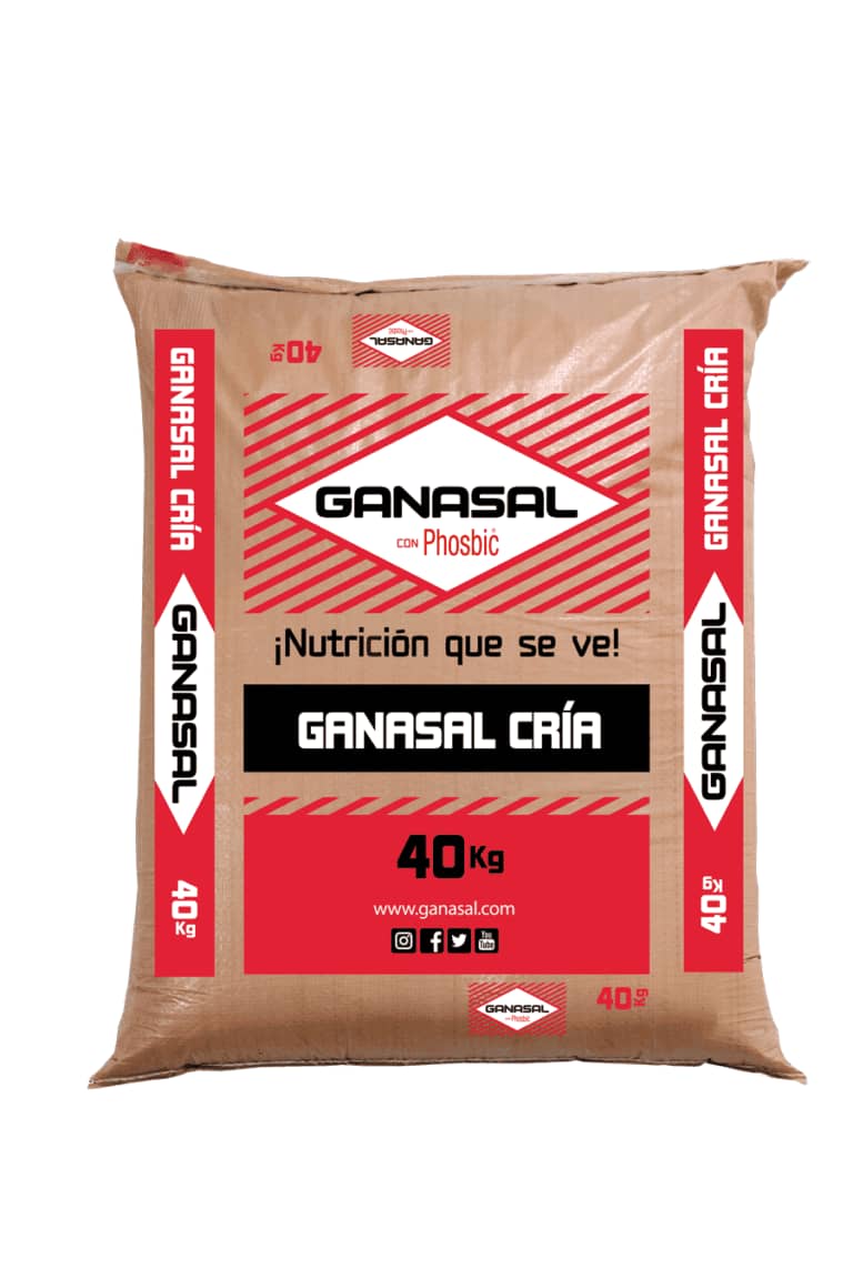 Sal mineralizada - Ganasal Cría x 40 Kg