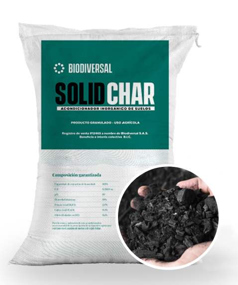 Biochar acondicionador de suelo Solidchar x 50 Kg