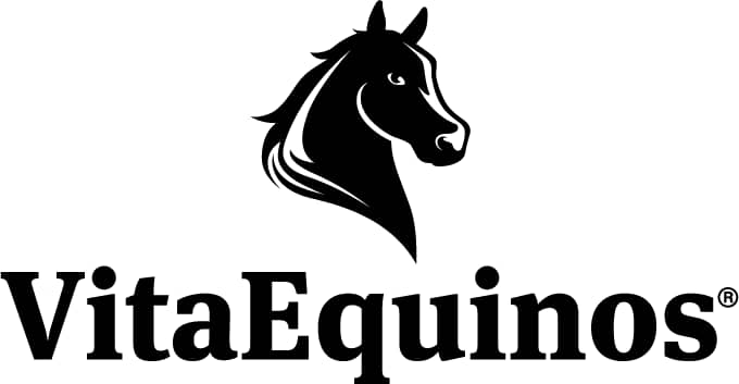 Vita Equinos