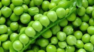 Arveja verde en vaina pastusa