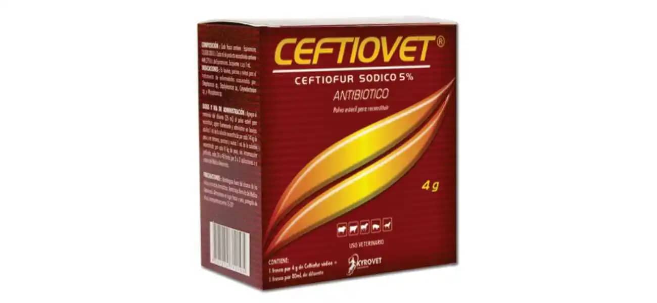 Antibiótico Ceftiovet X 4 Gr