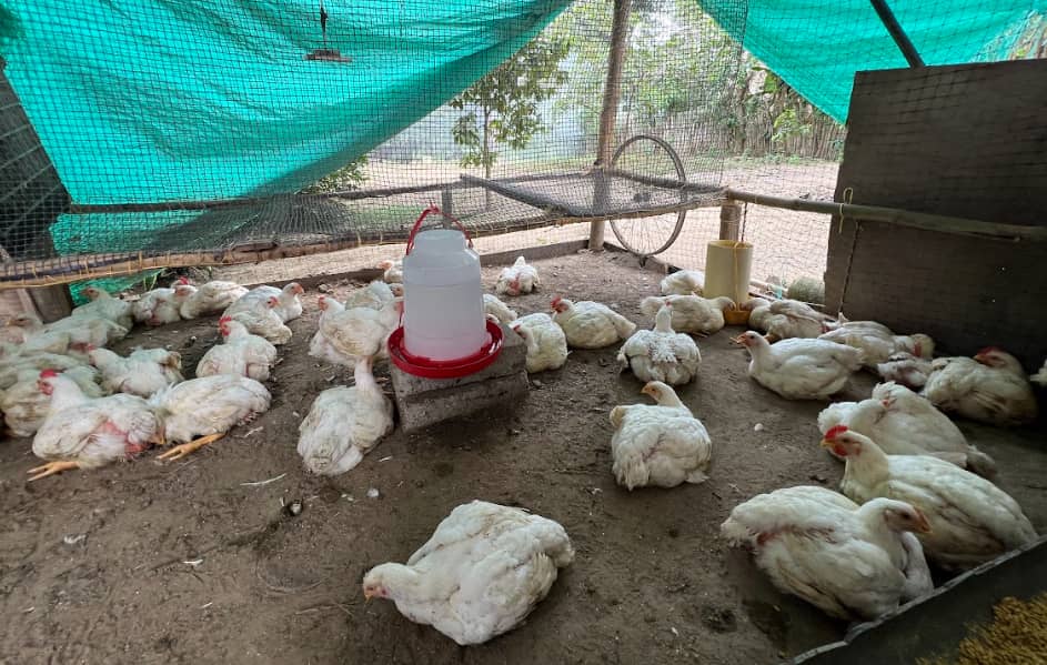 Captura de pantalla 2024-12-10 174755.png